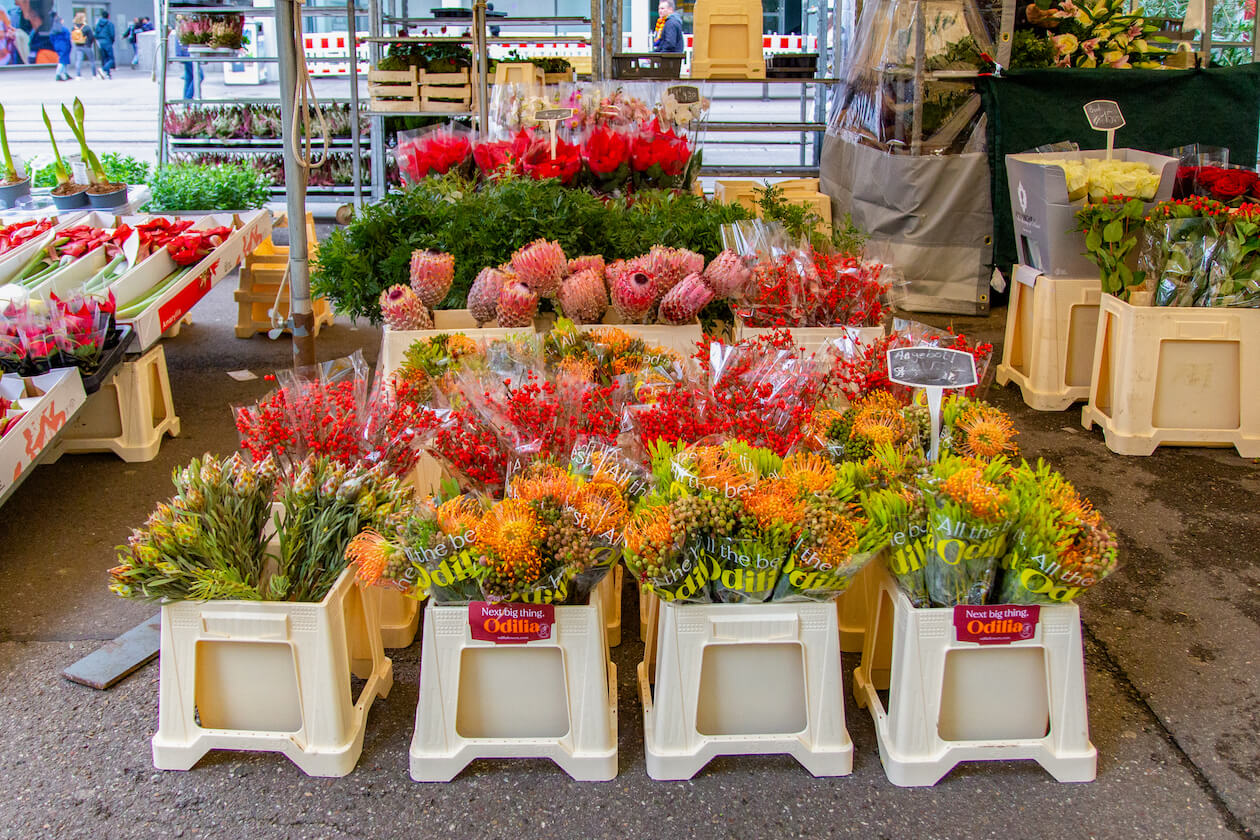 Nadelkissen Blumenmarkt Karlsruhe