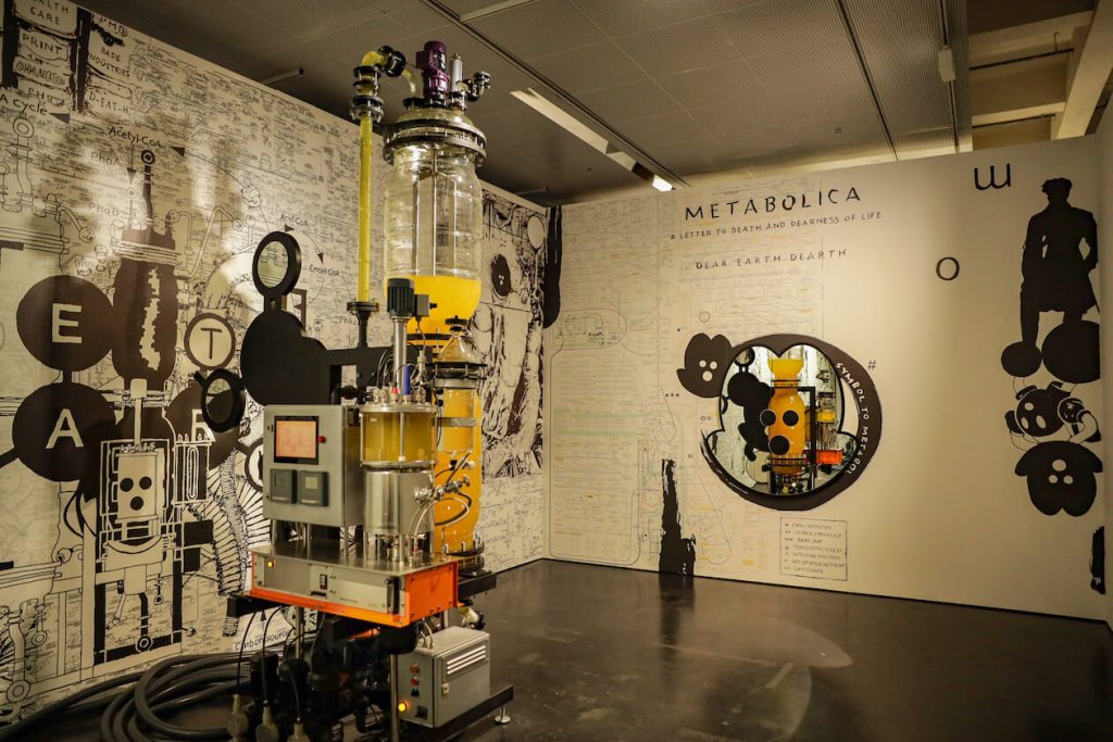 Metabolica Camp Thomas Feuerstein