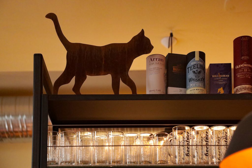 Schwarzer Kater jetzt auch in Karlsruhe