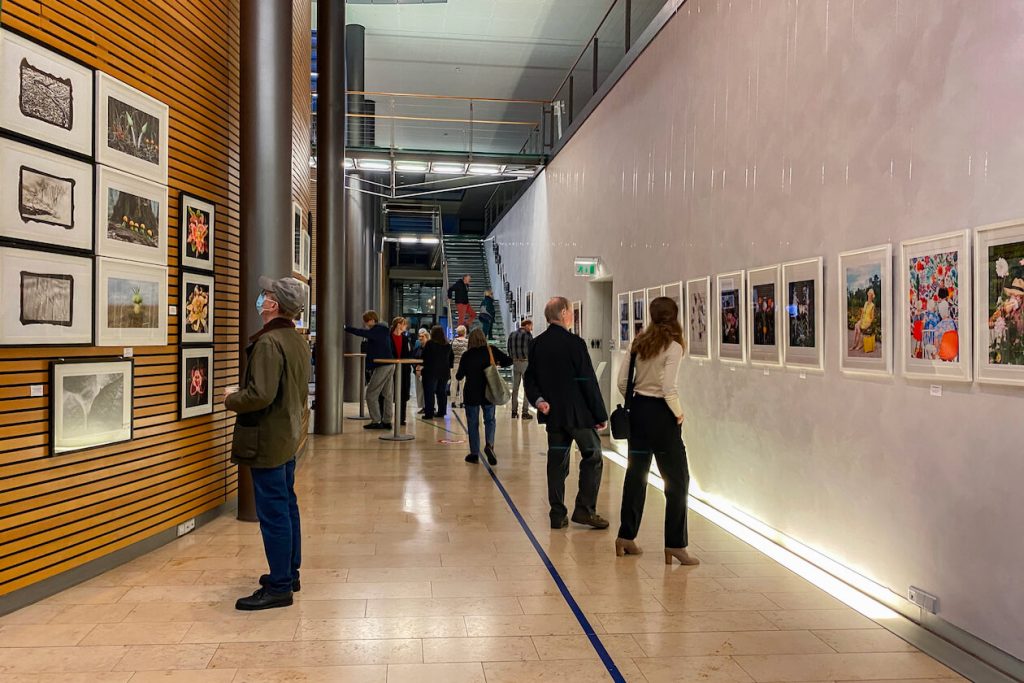 Fotowettbewerb Hoepfner-Stiftung 1