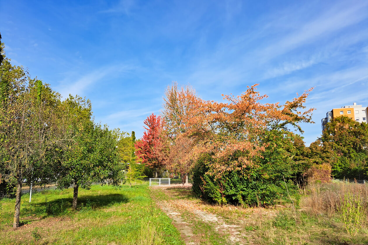 Mitmach-Garten Ostring Herbst
