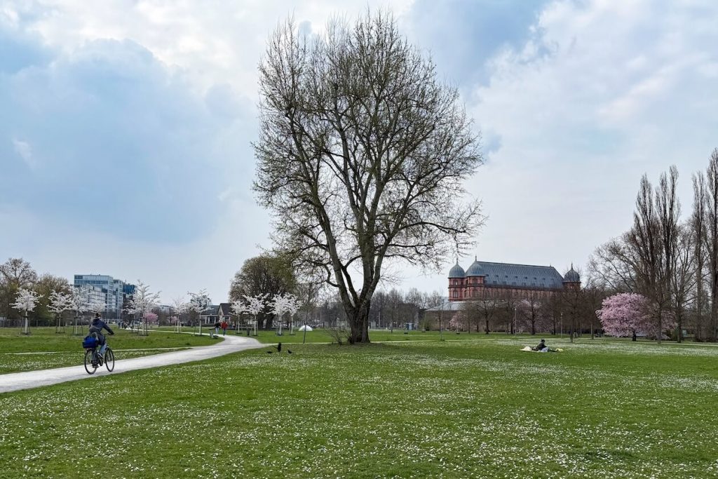 Otto-Dullenkopf-Park Karlsruhe c Nina Setzler