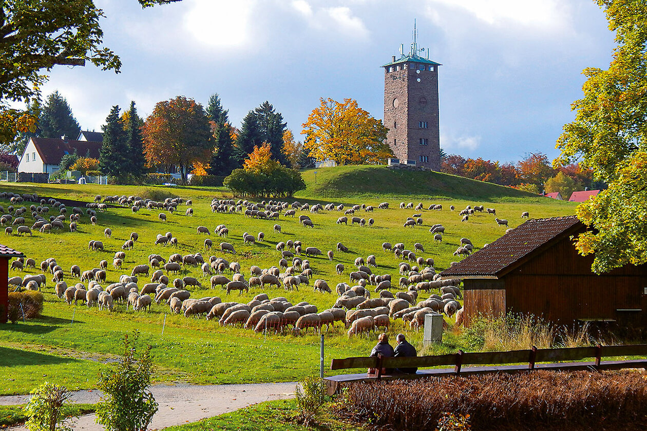 Karlsruher Stadtbuch 2026 Wasserturm Dobel