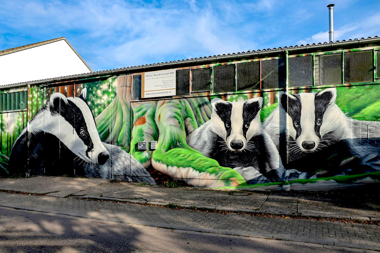Dachs-Graffiti Holzbau Biedenbach Daxlanden Karlsruhe