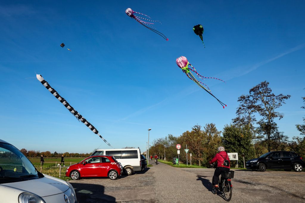 Drachenwiese Neureut Karlsruhe