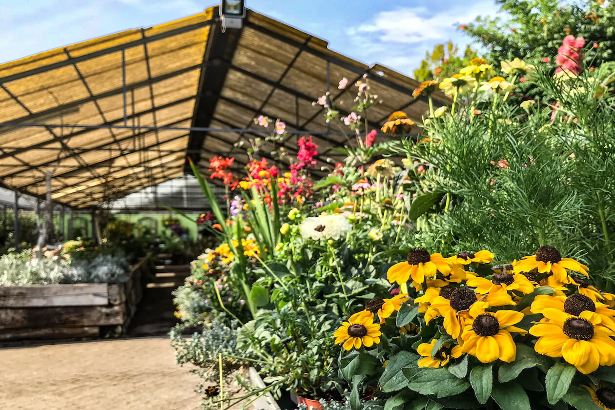 Floralive Gärtnerei Rüppurr Karlsruhe