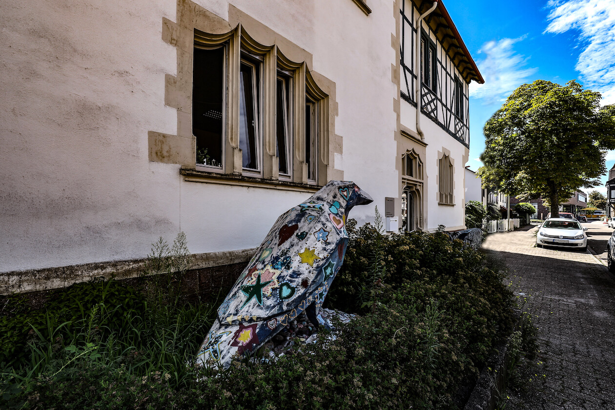 Krähe Koelreuterstraße Grünwinkel Karlsruhe