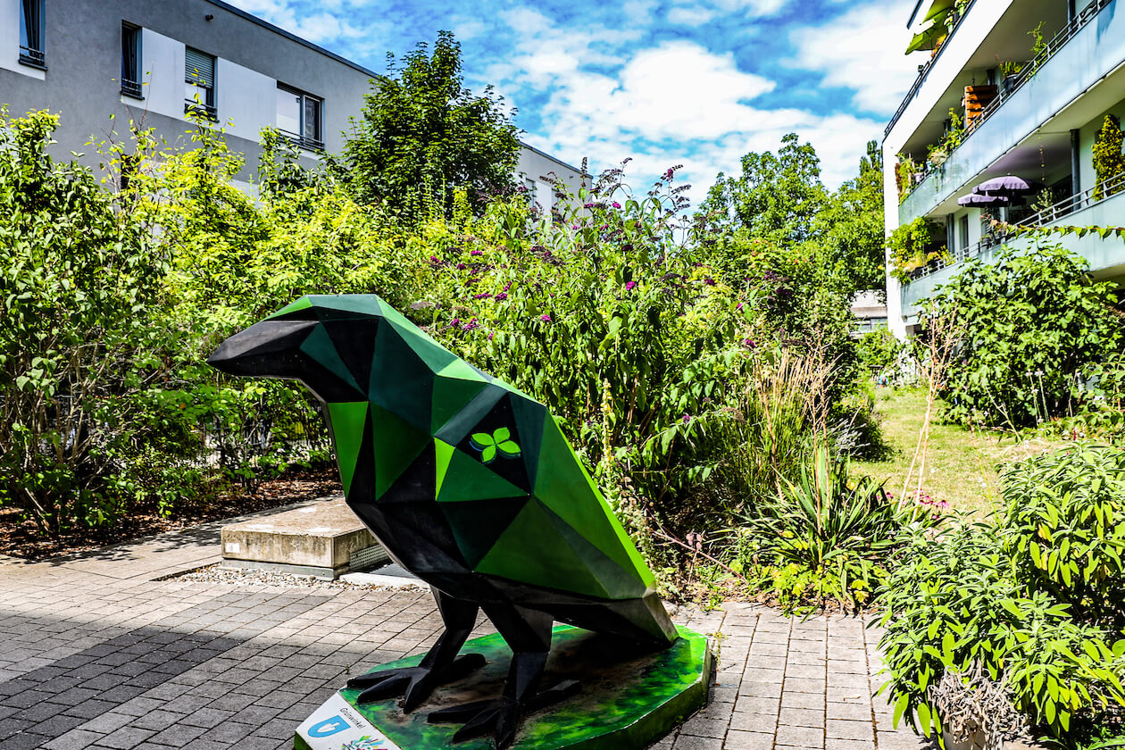 Krähe Quartier am Albgrün Grünwinkel Karlsruhe