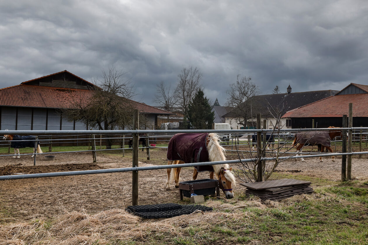 Pferde Gut Batzenhof Hohenwettersbach Karlsruhe