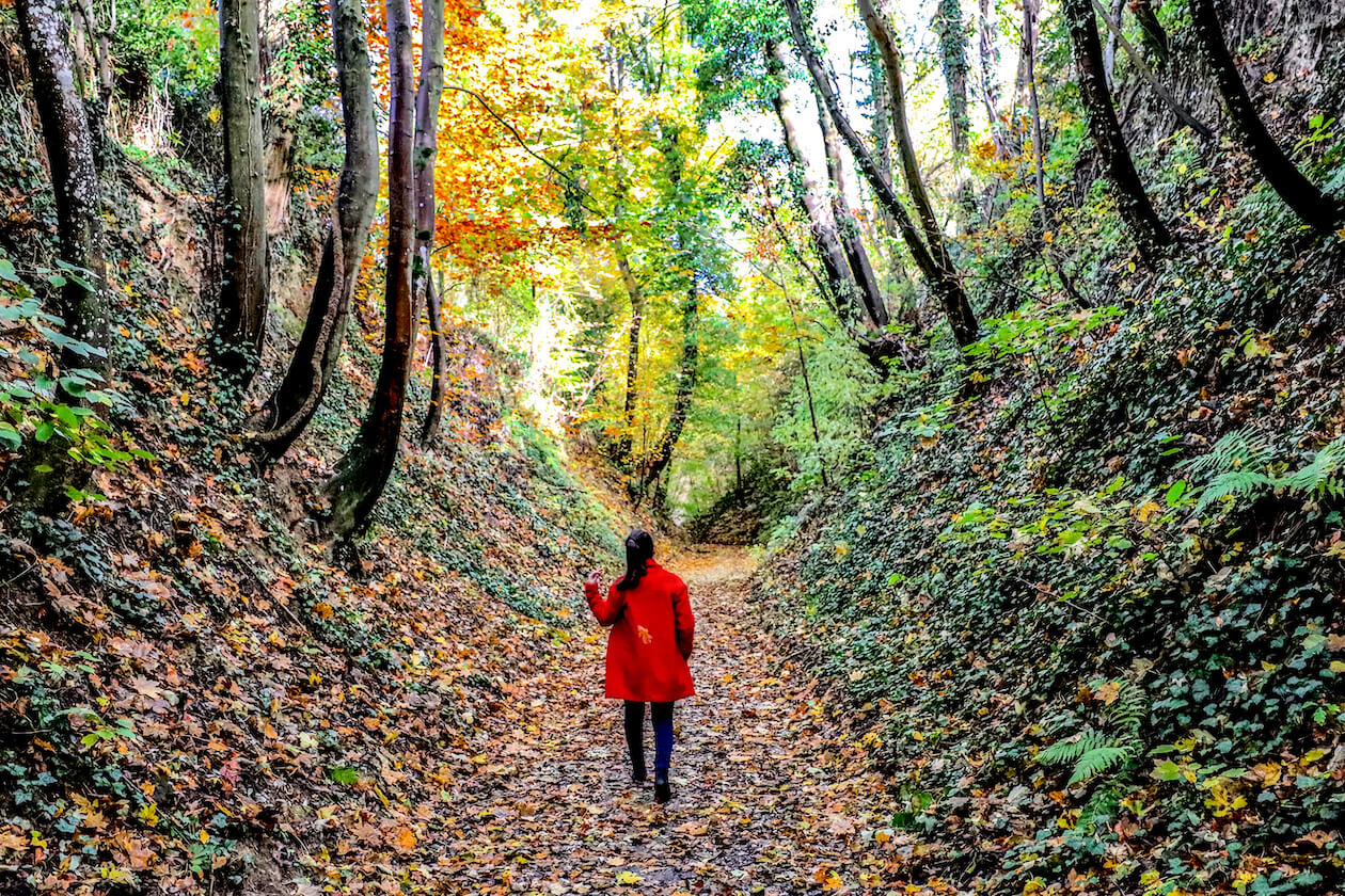 Ringelberg-Hohlweg Grötzingen Karlsruhe