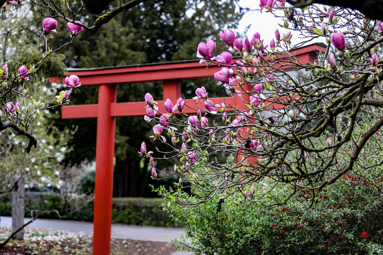 Tori Japangarten Südweststadt Karlsruhe