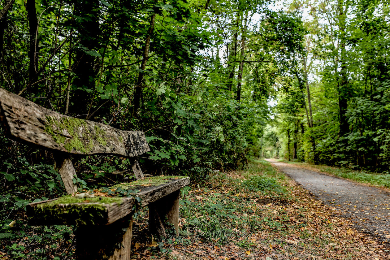 Waldbaden Hagsfeld Karlsruhe
